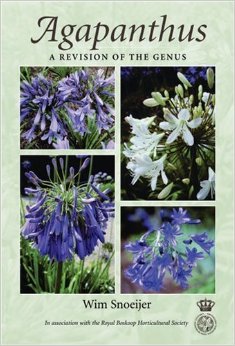 Agapanthus a revision of the genus